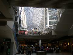 toronto (80)